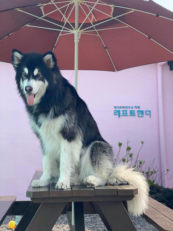 Lefthander Guesthouse Jeju Buitenkant foto