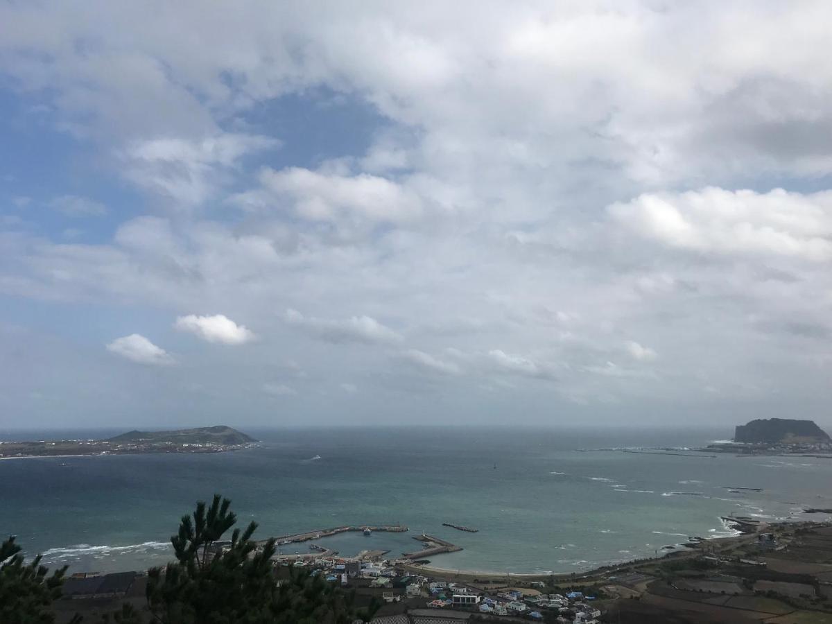 Lefthander Guesthouse Jeju Buitenkant foto